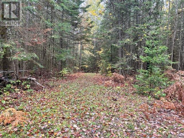 LOT 2-0 HADLINGTON ROAD, highlands east, Ontario