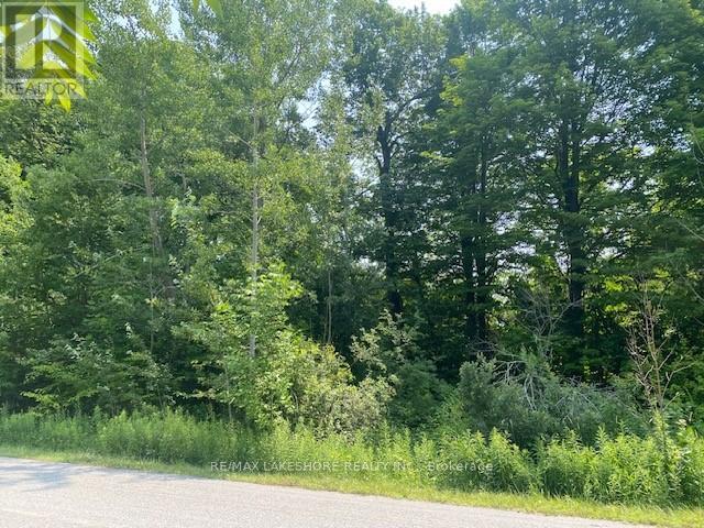 A PIPELINE ROAD, cramahe, Ontario