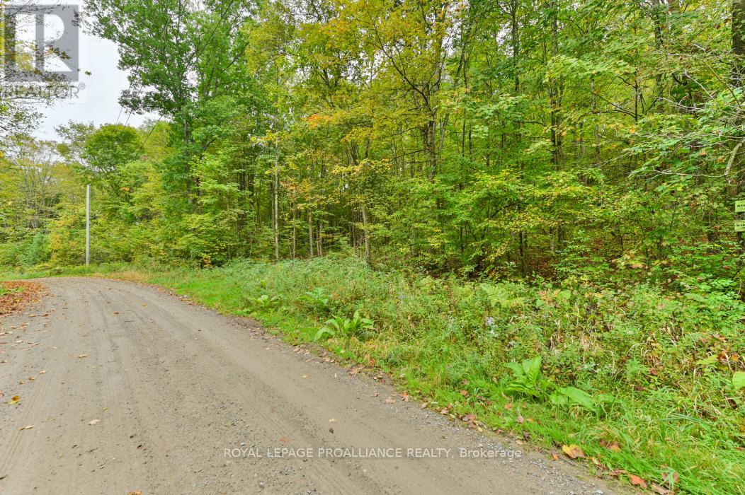 0 DEROCHE ROAD, tweed, Ontario