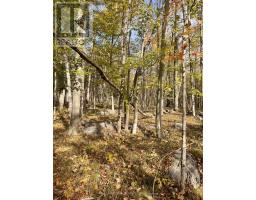 0 MARLBANK RD, tweed, Ontario