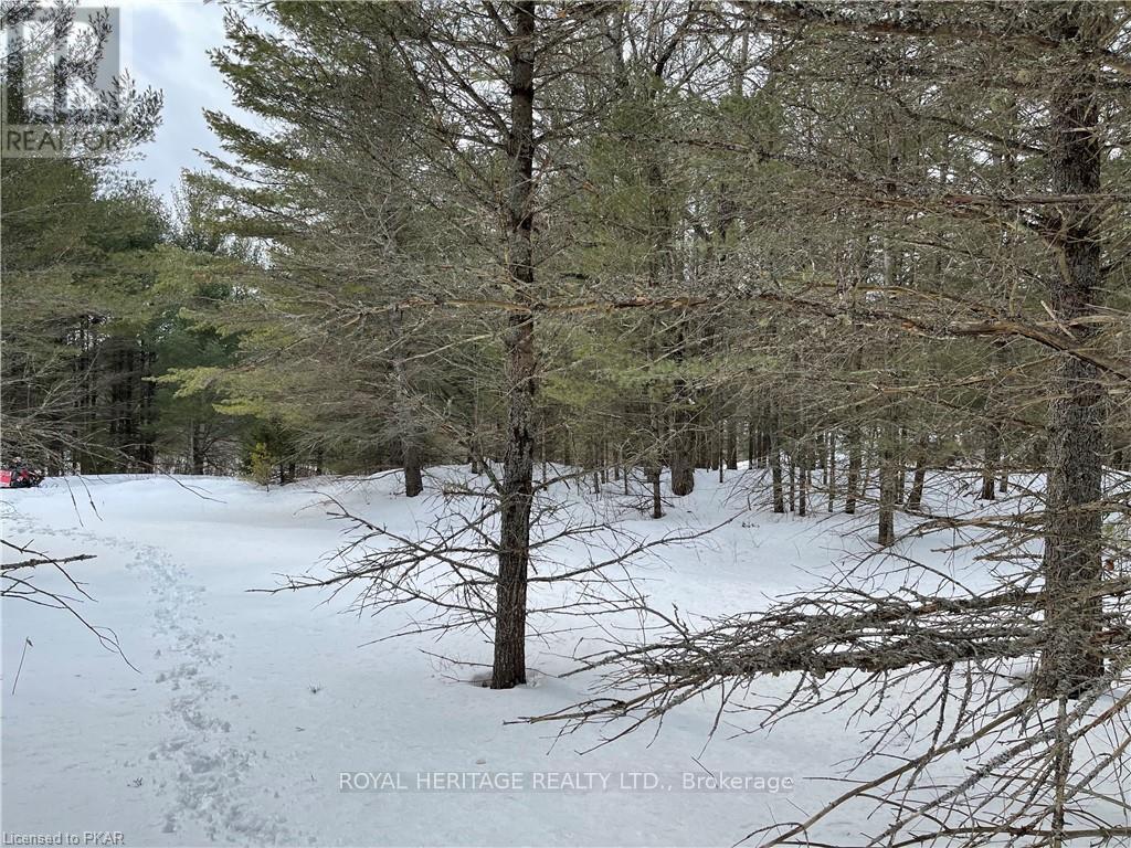 LOT 3 - N/A HADLINGTON ROAD, highlands east (monmouth), Ontario